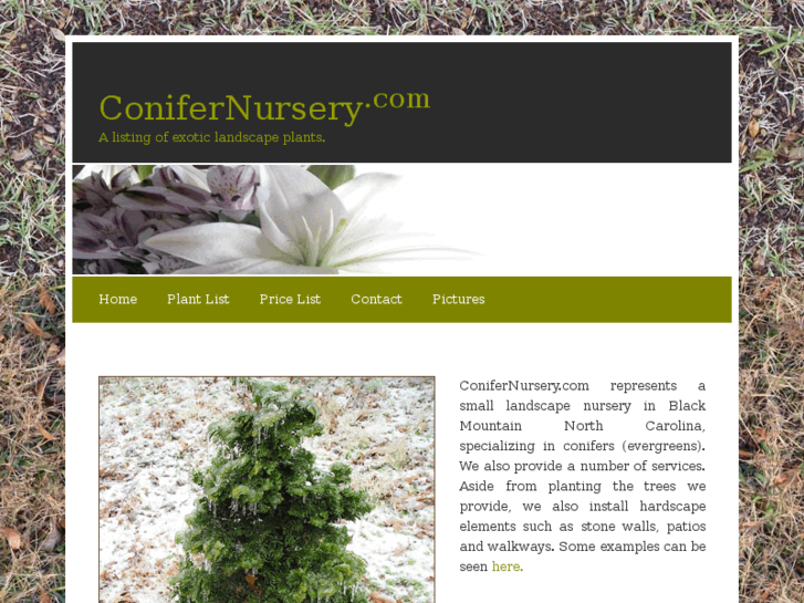 www.conifernursery.com