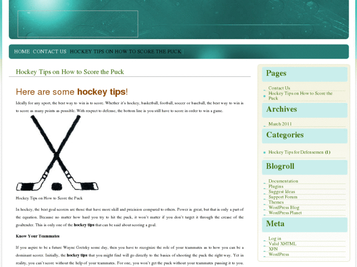 www.hockeytips.org