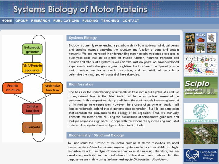 www.motorprotein.de