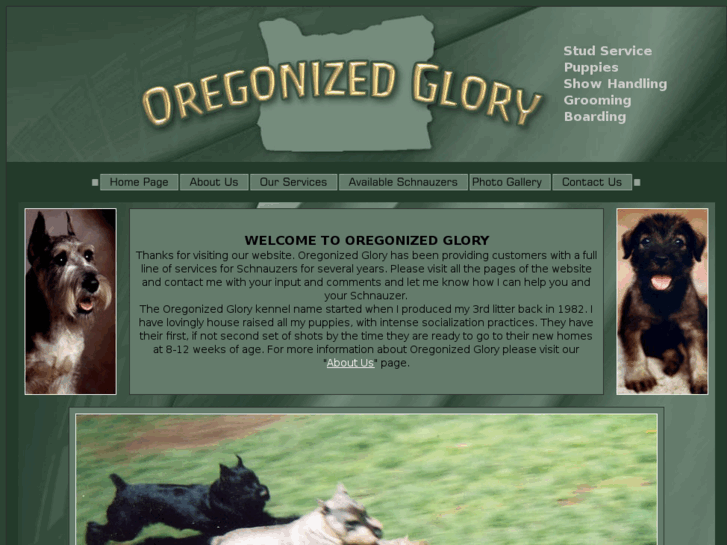 www.oregonizedglory.com