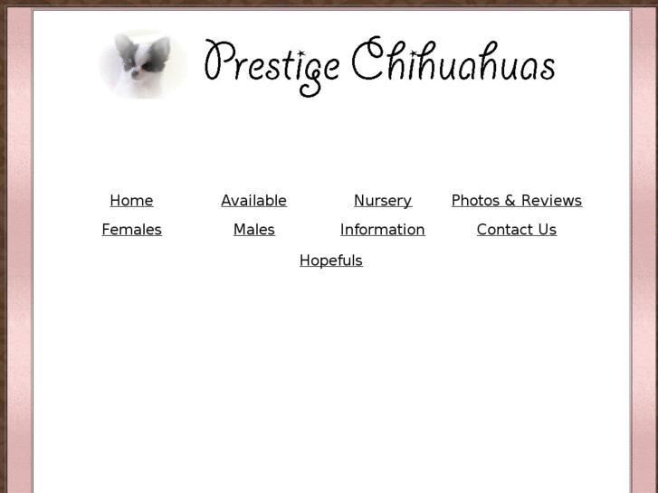 www.prestigechihuahuas.com