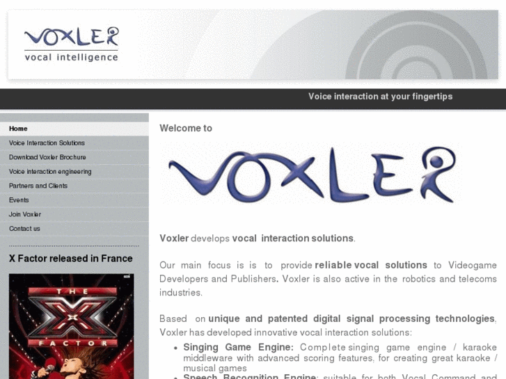 www.voxler.eu