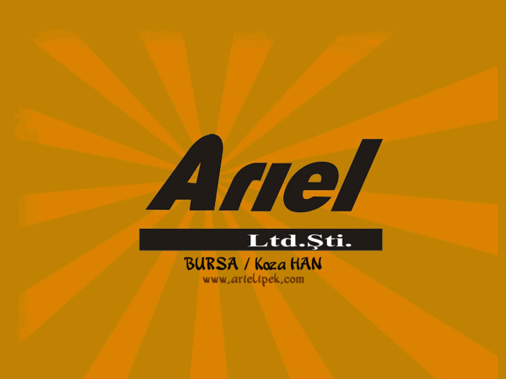 www.arielipek.com