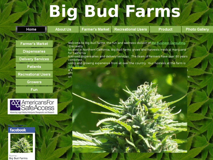 www.bigbudfarms.com