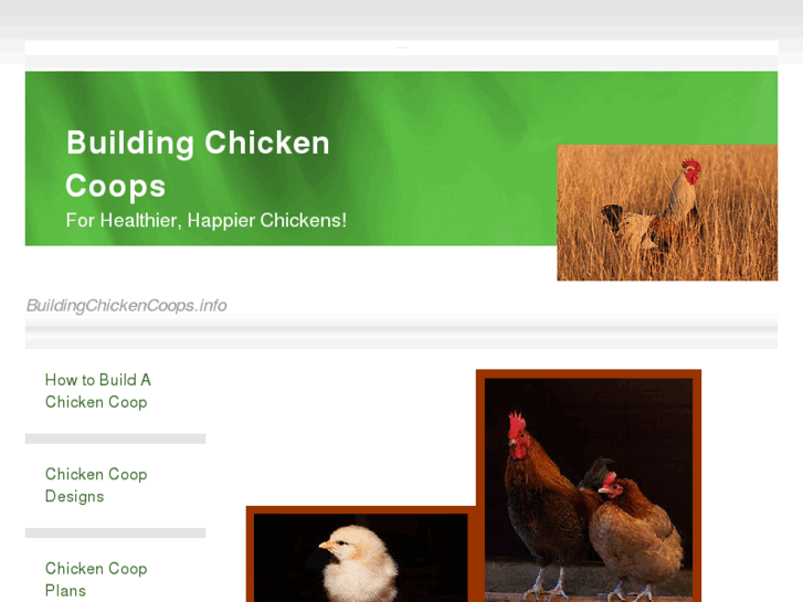 www.buildingchickencoops.info