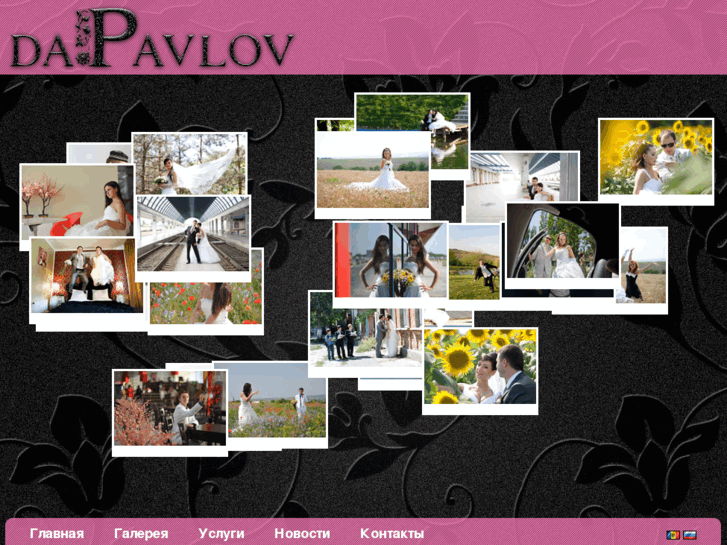 www.dapavlov.com