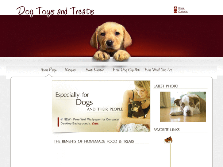 www.dogtoysntreats.com