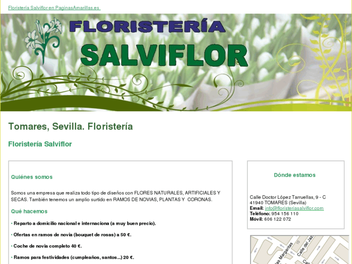 www.floristeriasalviflor.com