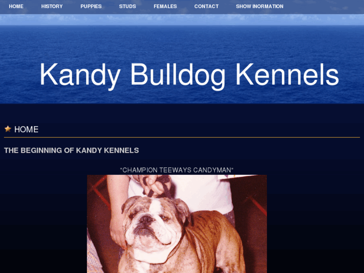 www.kandybulldogs.com