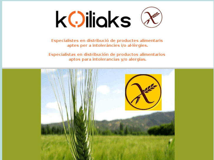 www.koiliaks.com