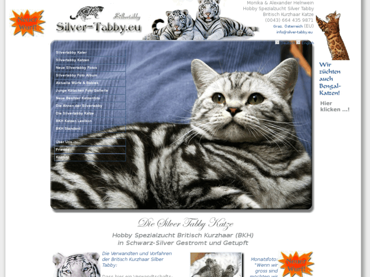 www.silver-tabby.eu