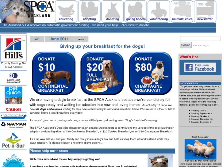 www.spca.org.nz