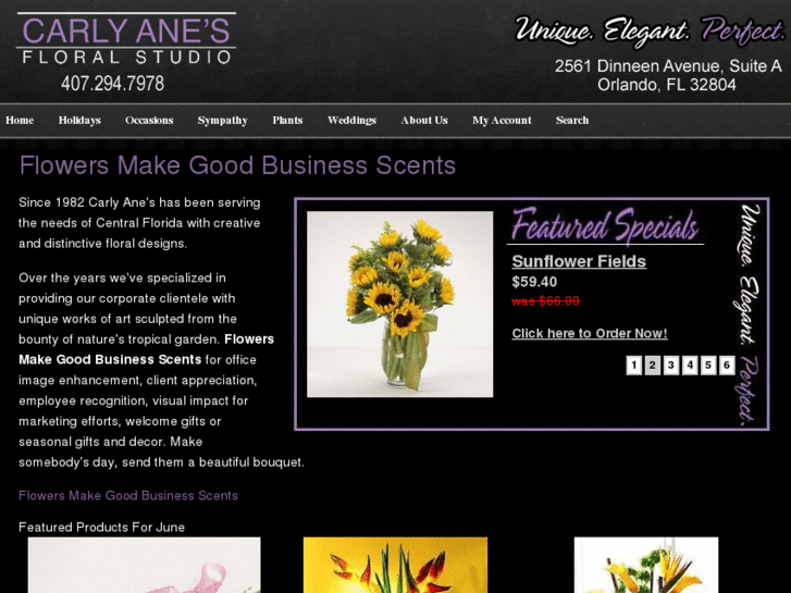 www.carleyanes.com