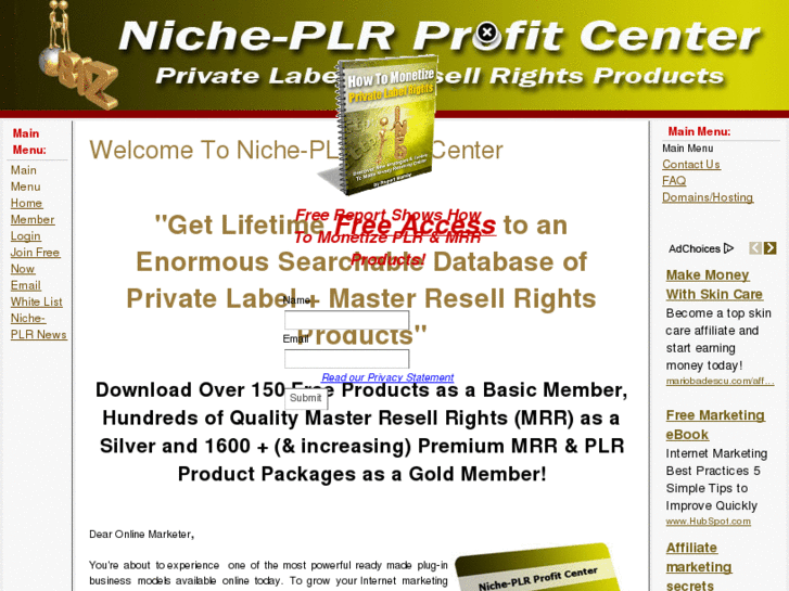 www.niche-plr.com