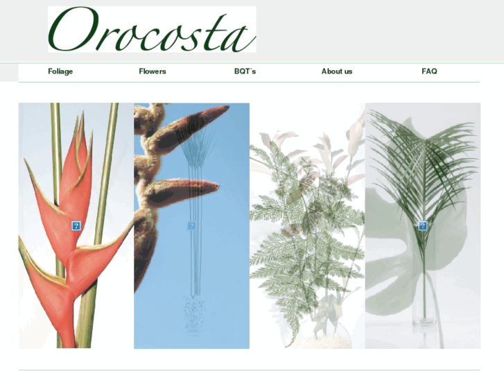 www.orocosta-tropicals.com