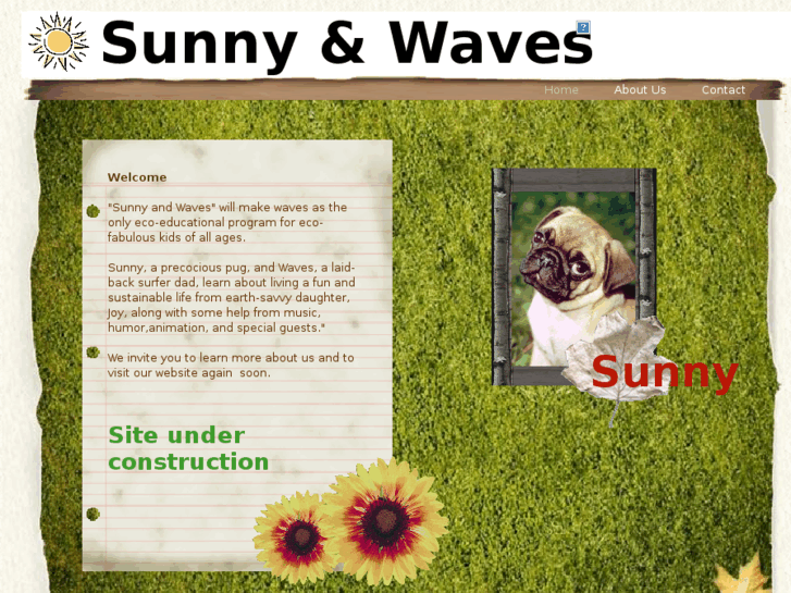 www.sunnyandwaves.com