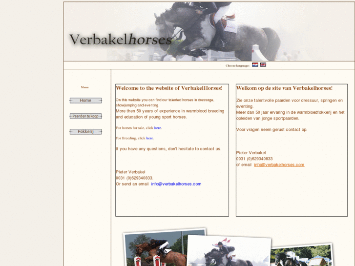 www.verbakelhorses.com