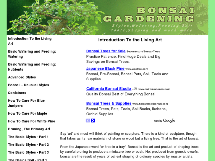 www.aboutbonsai.com