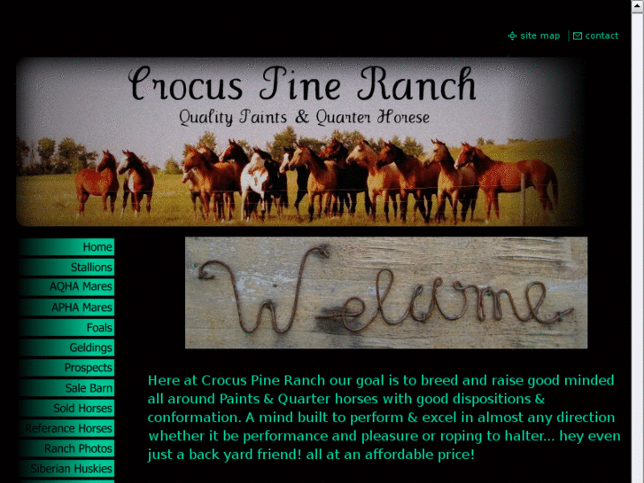 www.crocuspineranch.com