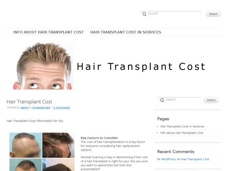 www.hairtransplantcostinfo.net