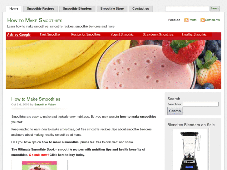 www.howtomakesmoothies.net