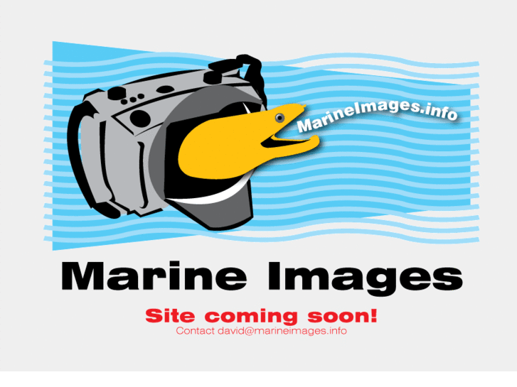 www.marineimages.info