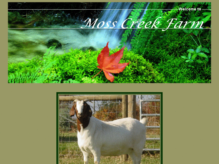 www.mosscreekfarm.net