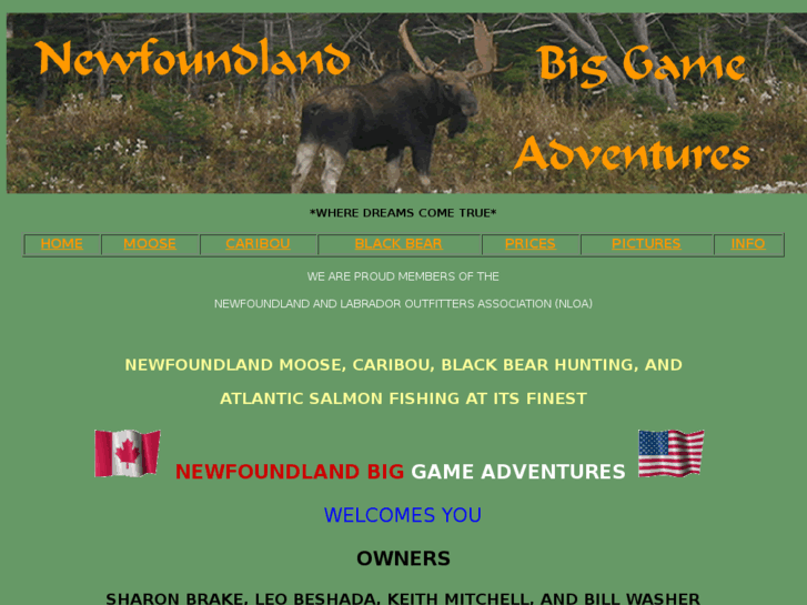 www.nfbiggame.com