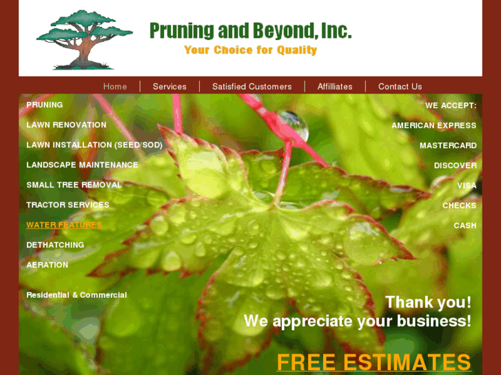 www.pruningandbeyond.com