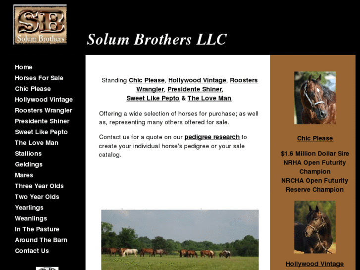 www.solumbrothers.com