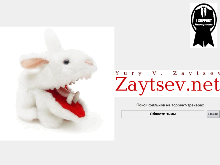 www.zaytsev.net