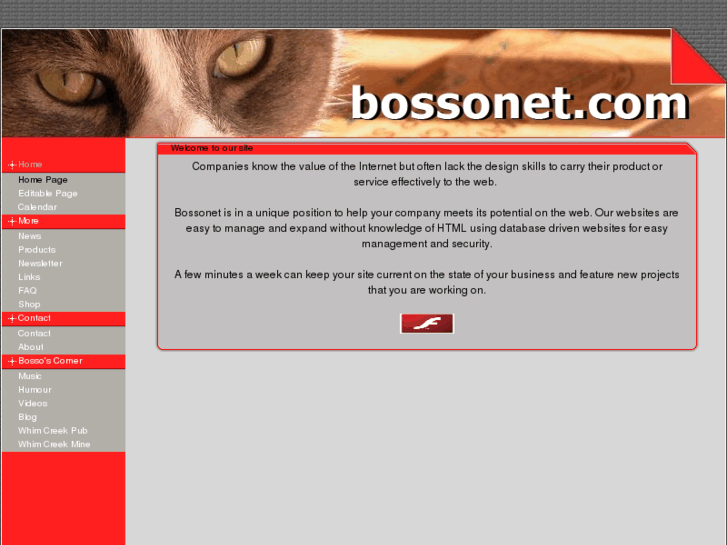 www.bossonet.com