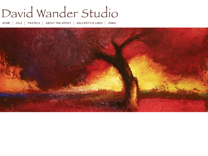 www.davidwanderstudio.com