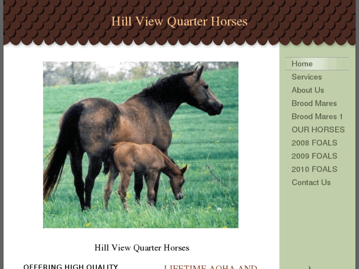 www.hillviewquarterhorses.com