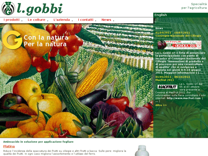 www.lgobbi.it