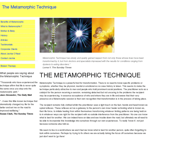 www.metamorphictechnique.eu