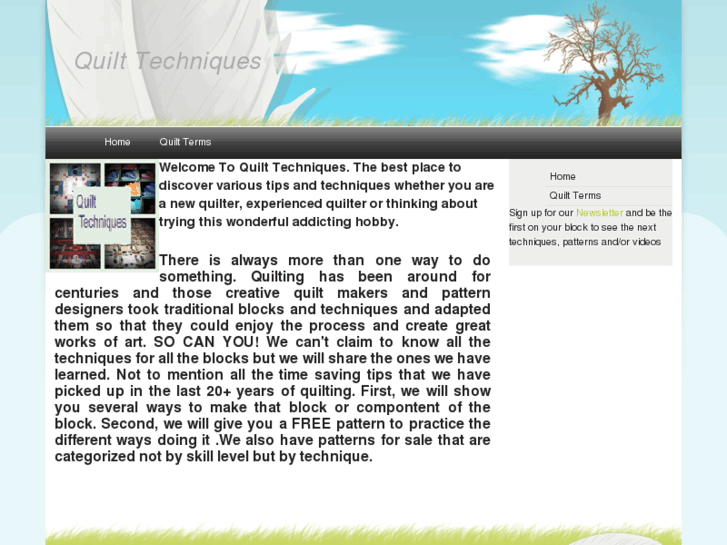 www.quilttechniques.com