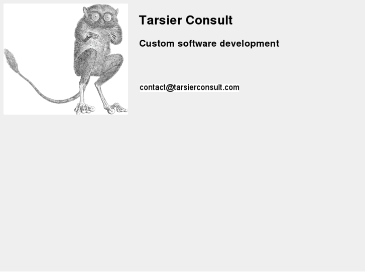 www.tarsierconsulting.com