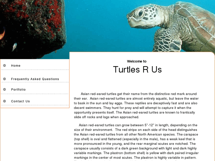 www.turtlesrus.info