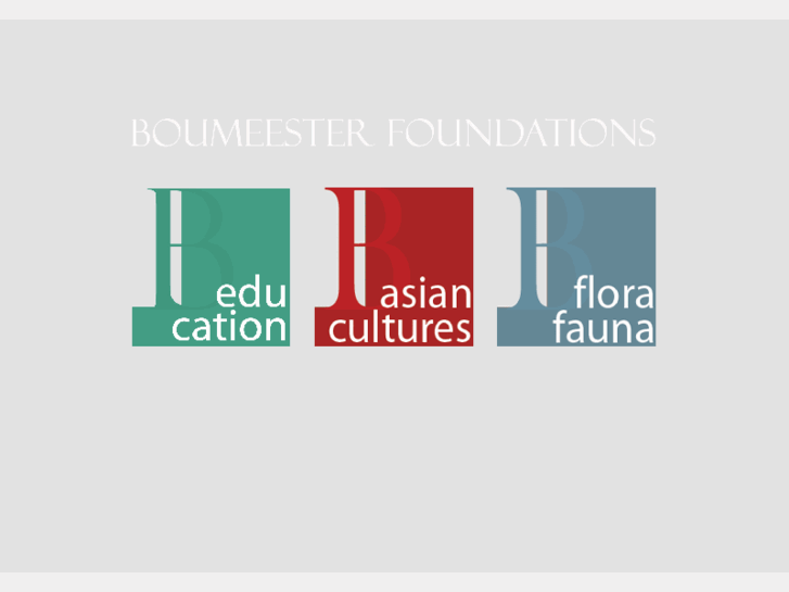 www.boumeesterfoundation.com