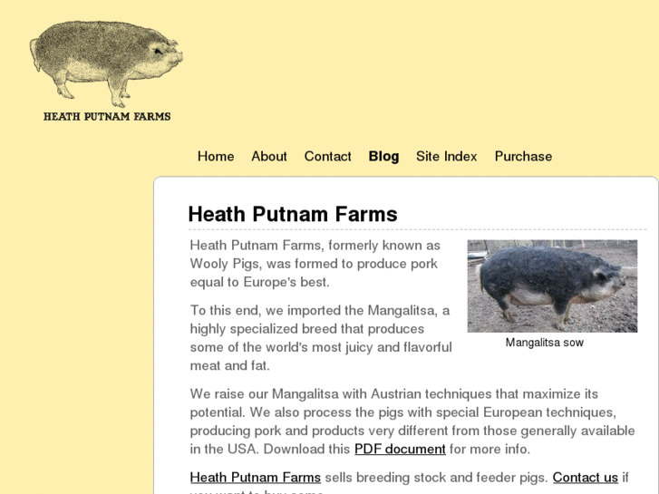 www.heathputnam.com