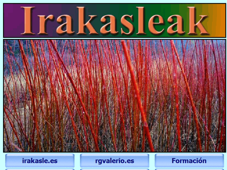 www.irakasleak.es