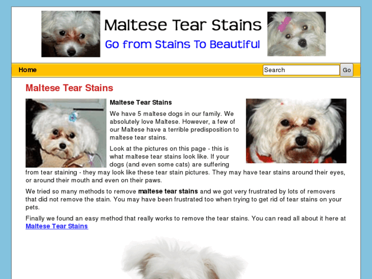 www.maltesetearstains.com