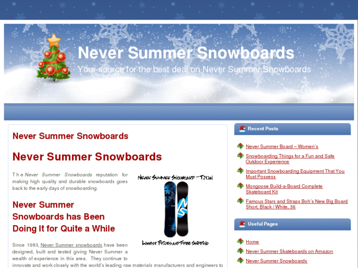 www.neversummersnowboards.org