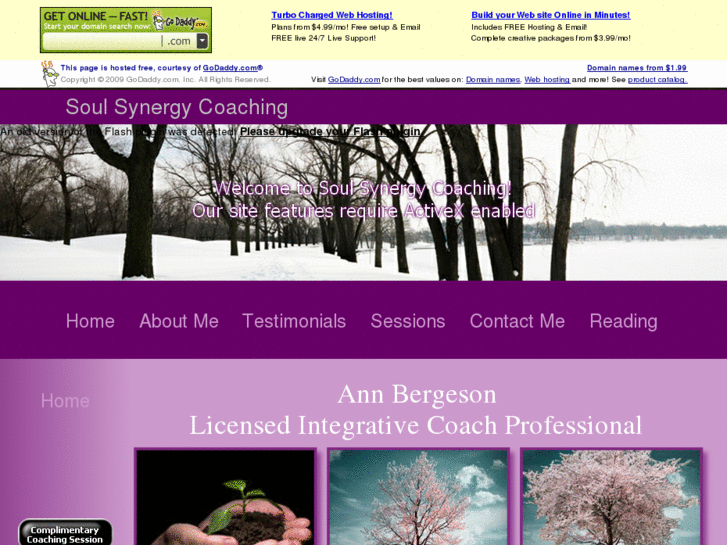 www.soulsynergycoaching.com