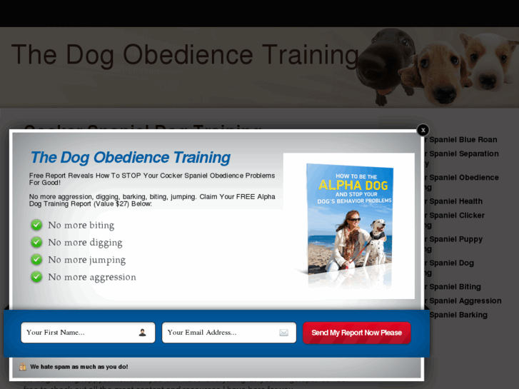 www.thedogobediencetraining.com