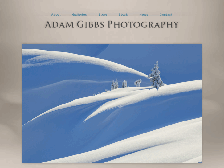 www.adamgibbs.ca