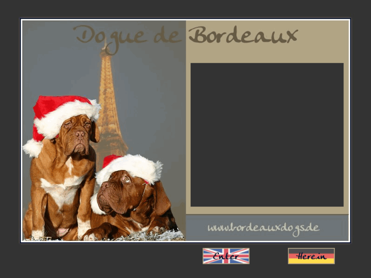 www.bordeauxdogs.de