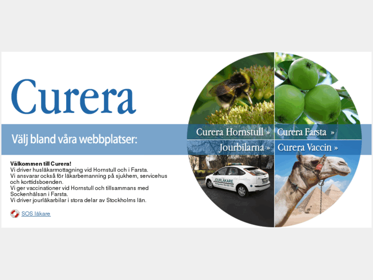 www.curera.net