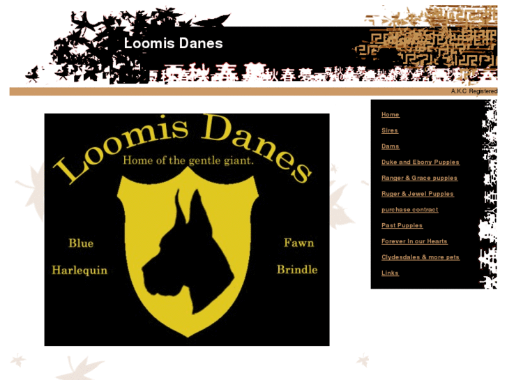 www.loomisdanes.com